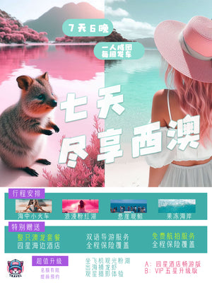 wa7d6Npinklake tour